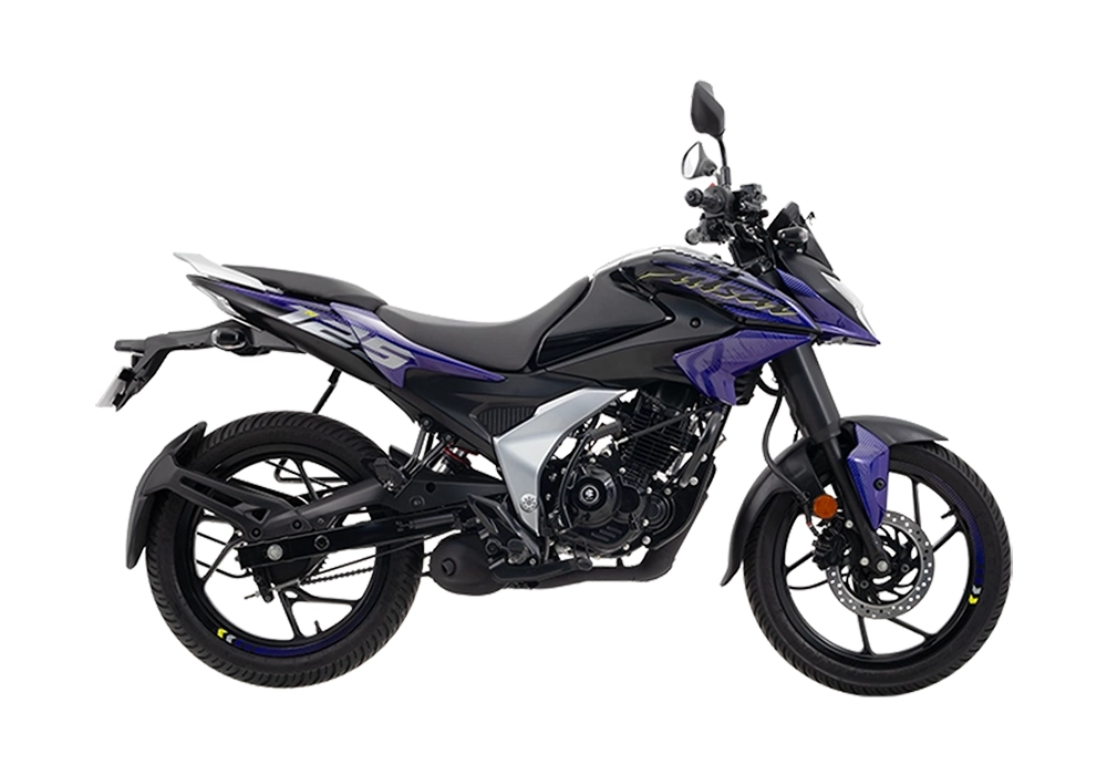 varun-bajaj-pulsar-n125-purple fury