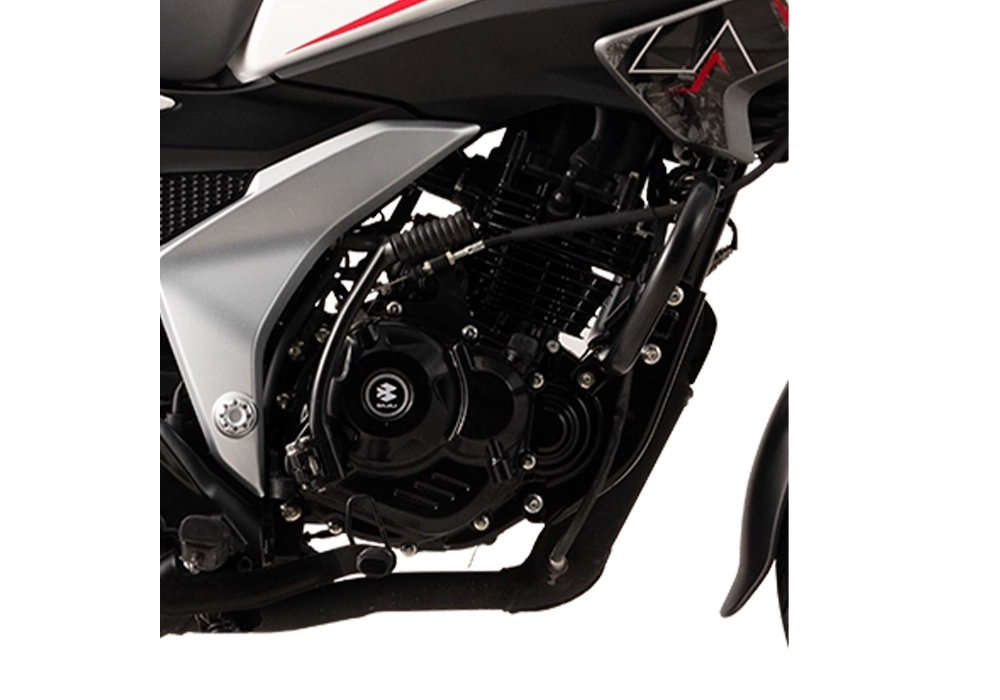Varun Bajaj Pulsar N125