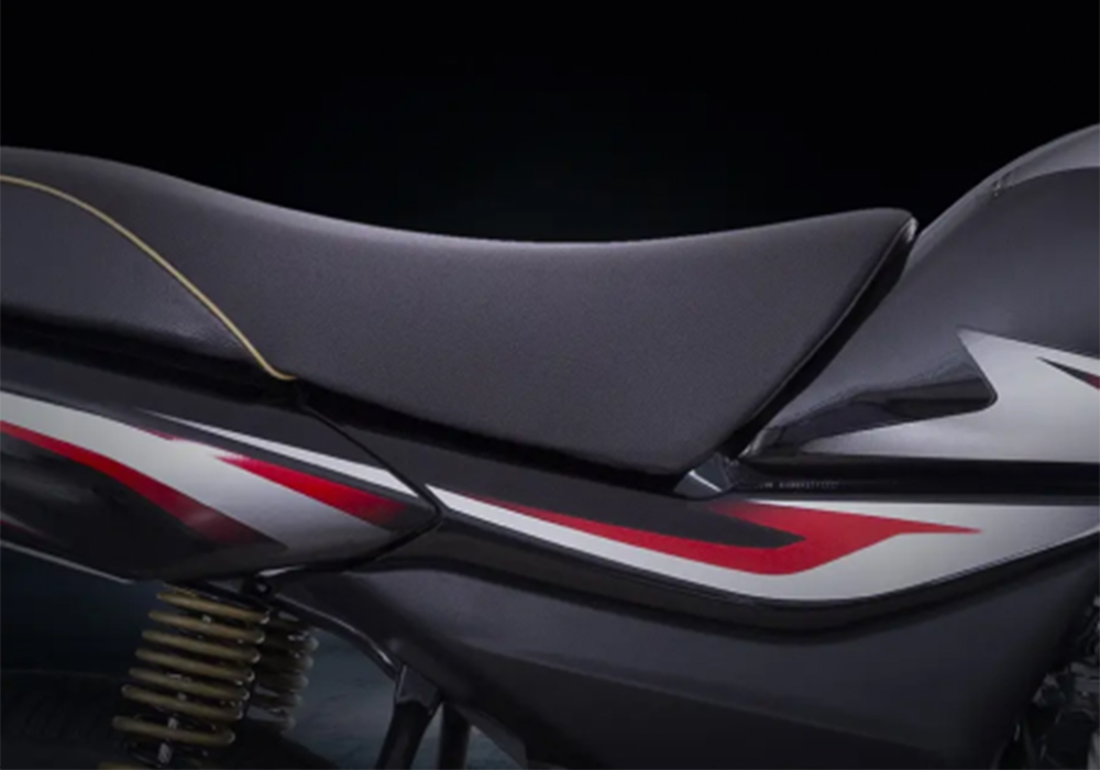 Bajaj Platina 100