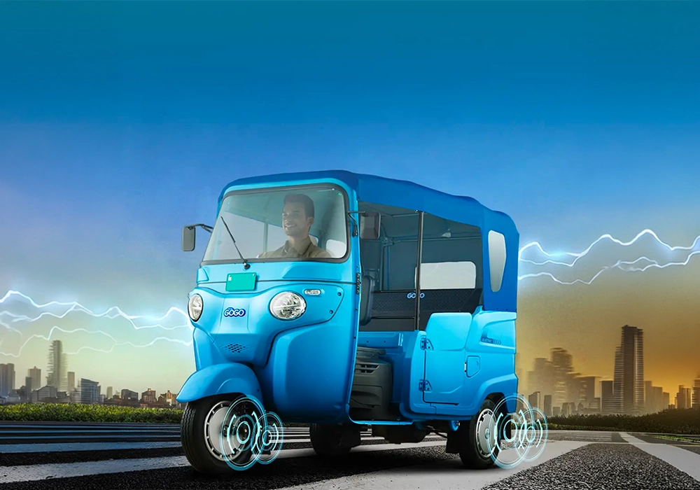 WEGO P7012