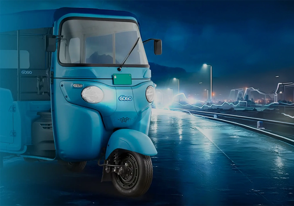 WEGO P7012