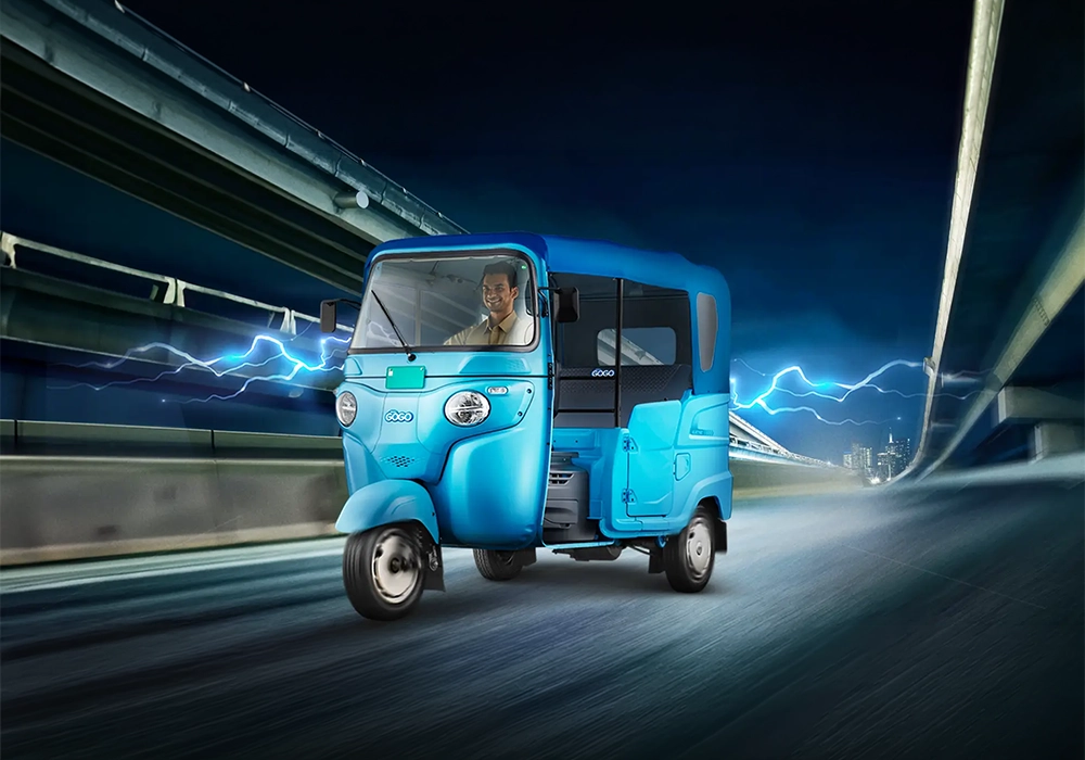 WEGO P7012