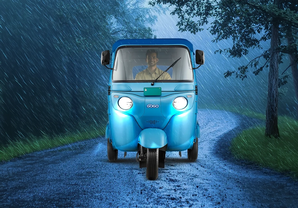 WEGO P7012