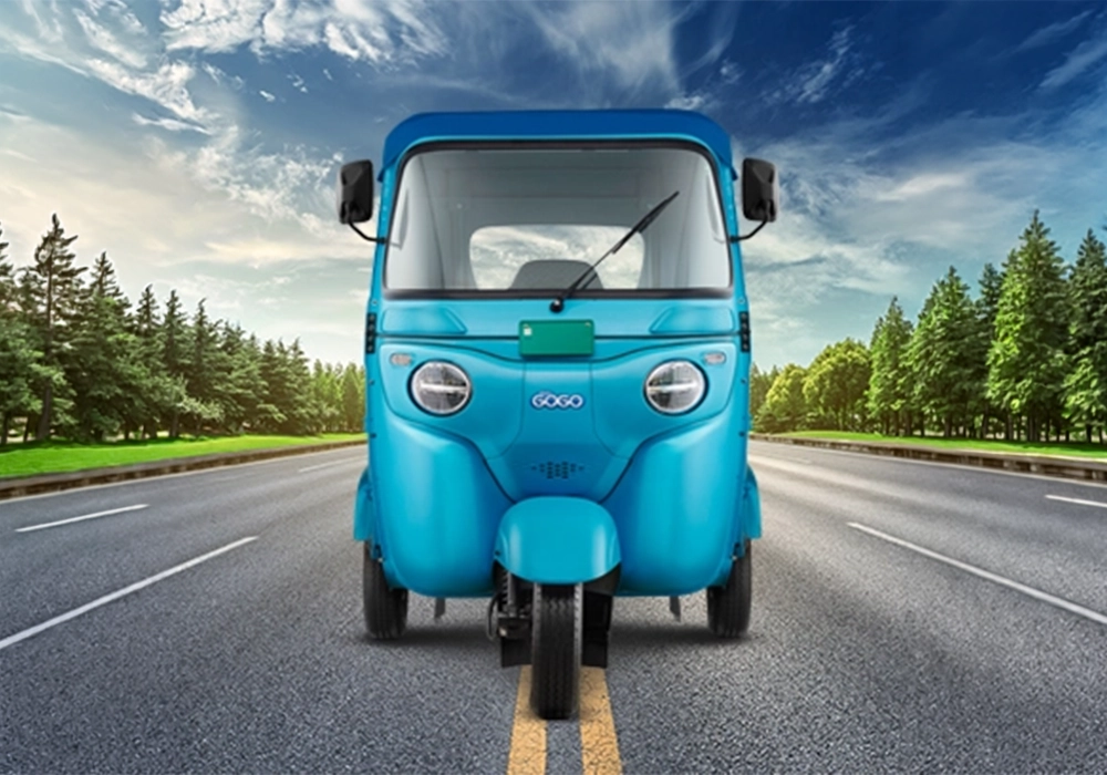Bajaj WEGO P5009