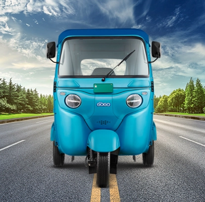 Bajaj GoGo P5009