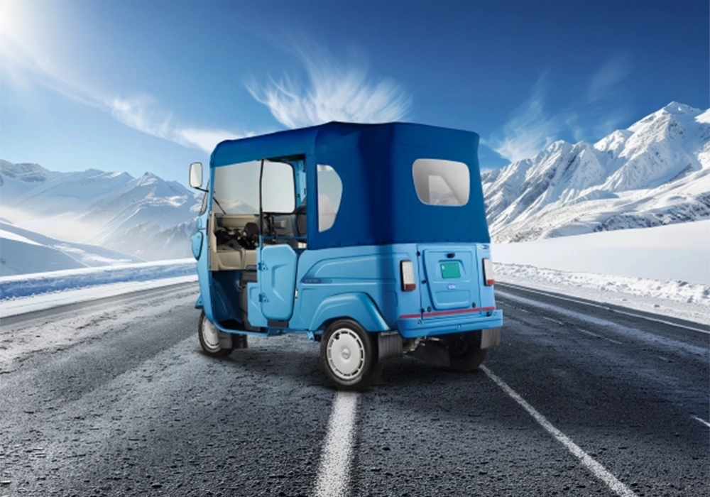 Bajaj WEGO P5009
