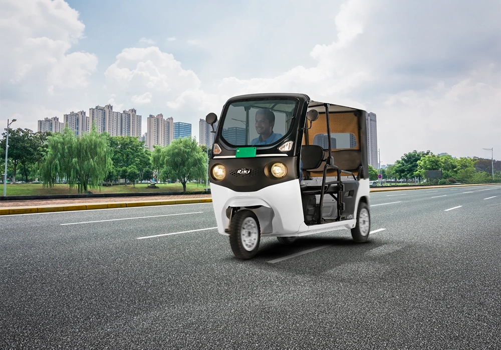 Bajaj Riki P4005