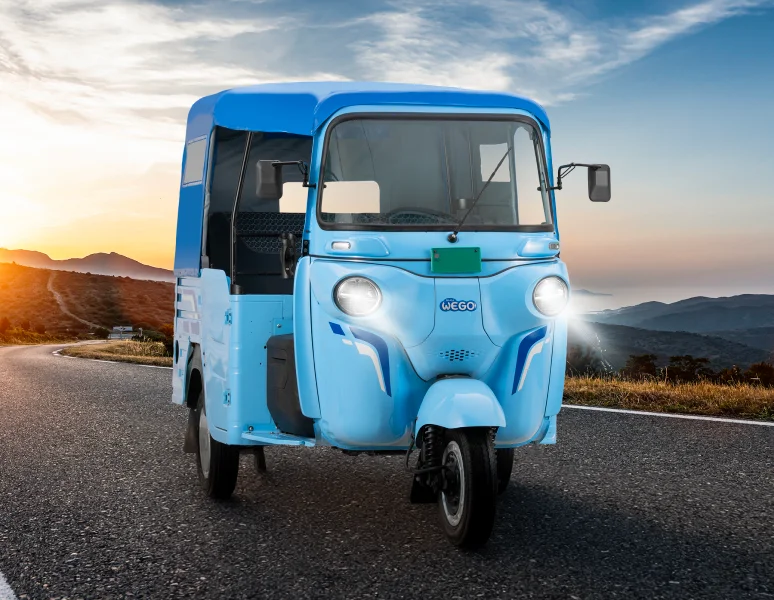 WEGO P9018