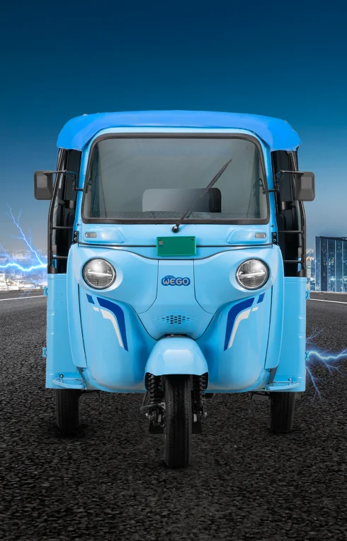 WEGO P9018